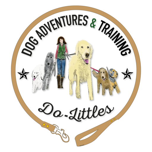 Do-Littles 